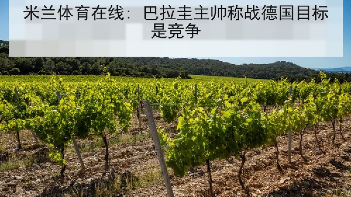 米兰体育在线: 巴拉圭主帅称战德国目标是竞争 米兰体育在线: 巴拉圭主帅称战德国目标是竞争