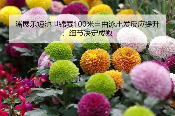潘展乐短池世锦赛100米自由泳出发反应提升：细节决定成败