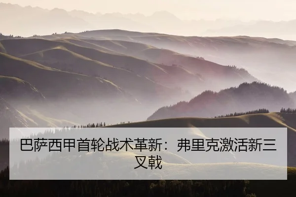 ba-sa-xi-jia-shou-lun-zhan-shu-ge-xin-fu-li-ke-ji-huo-xin-san-cha-ji-2-323.jpg