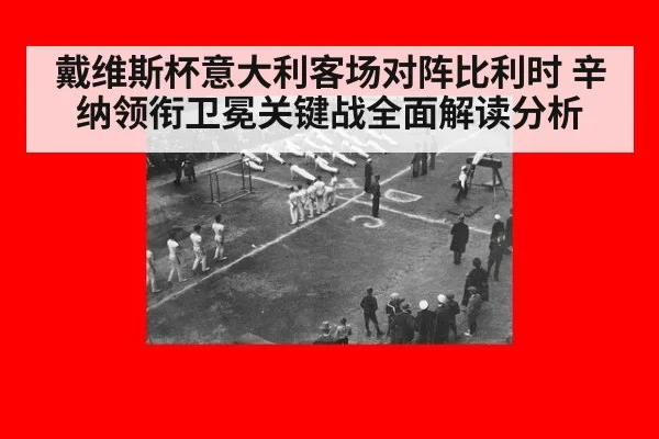 戴维斯杯意大利客场对阵比利时 辛纳领衔卫冕关键战全面解读分析